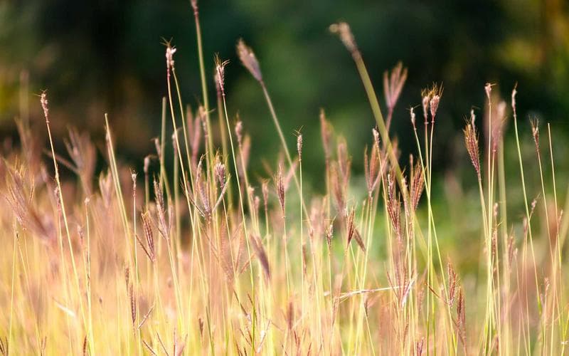 Travel Booking Platform