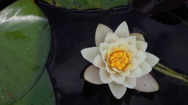 Dr. Michael Chen - MediCare Experience