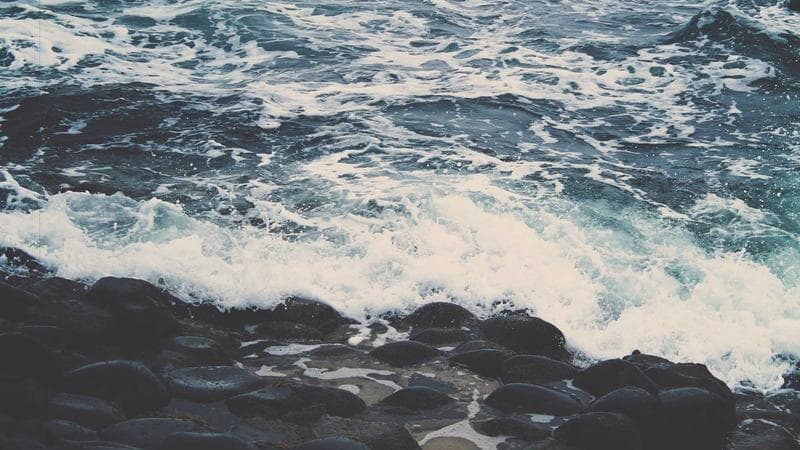 E-Commerce Platform - Complete Project Showcase